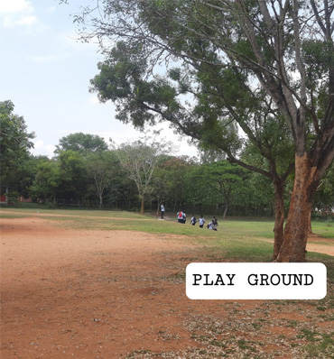 program image